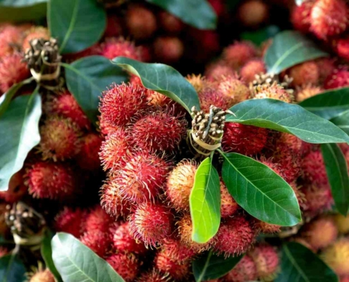 unwanted rambutans food recover scaled