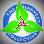 The Harvest Collective