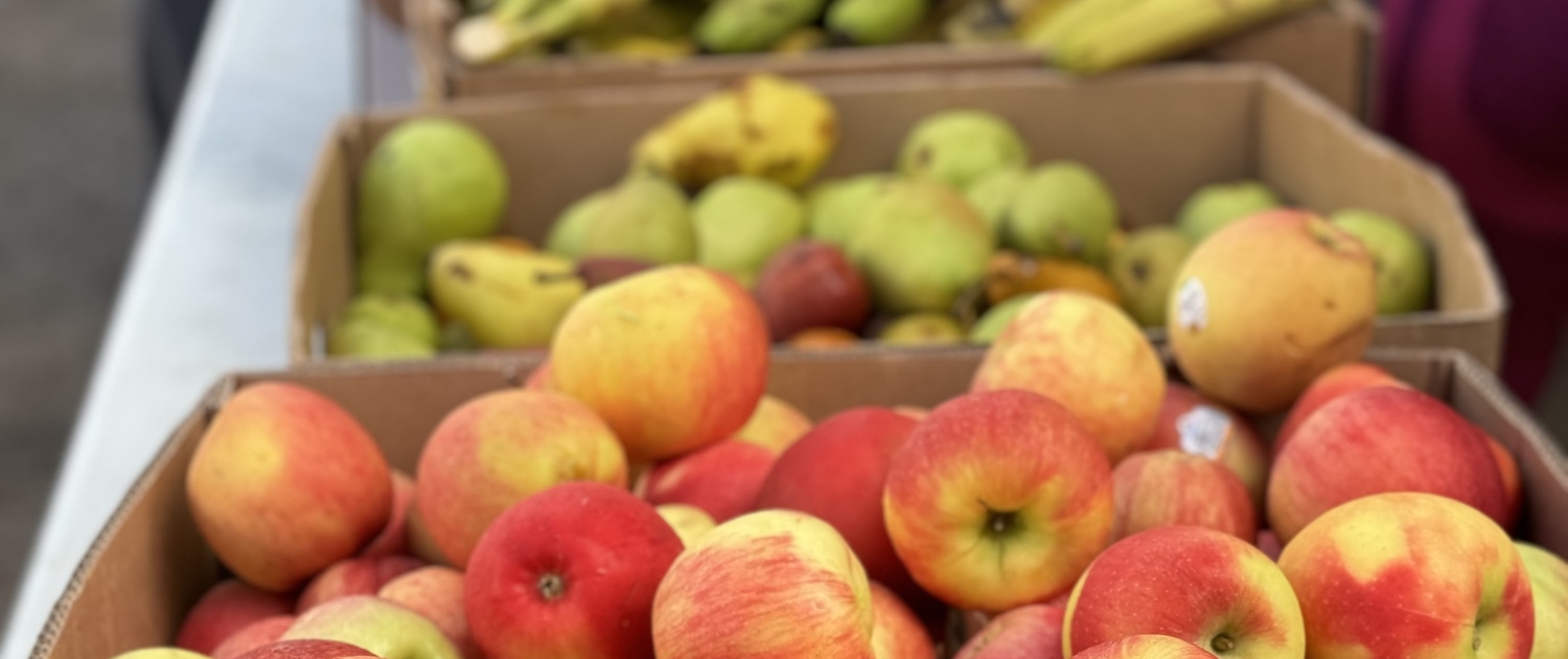 01_26_2024 Comite Latino Distribution 7