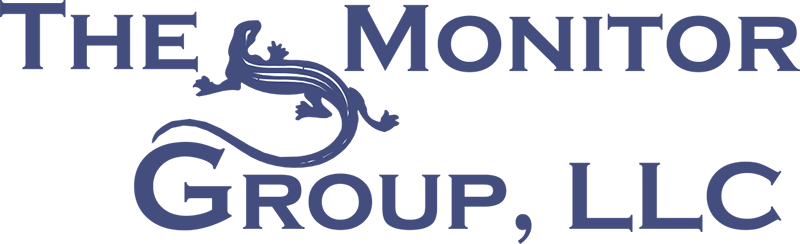 The Monitor Group - LOGO